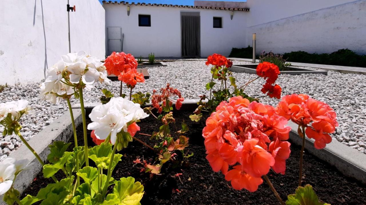 Casa Dos Vizinhos - Casas De Taipa Villa São Pedro do Corval Kültér fotó